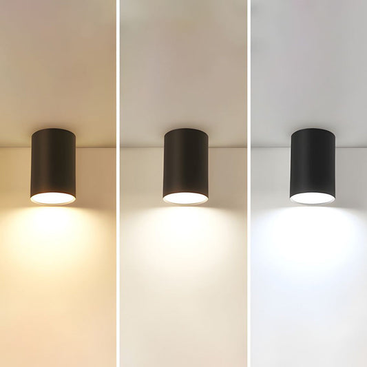 Ceiling Light Modern Aluminum LED Downlight