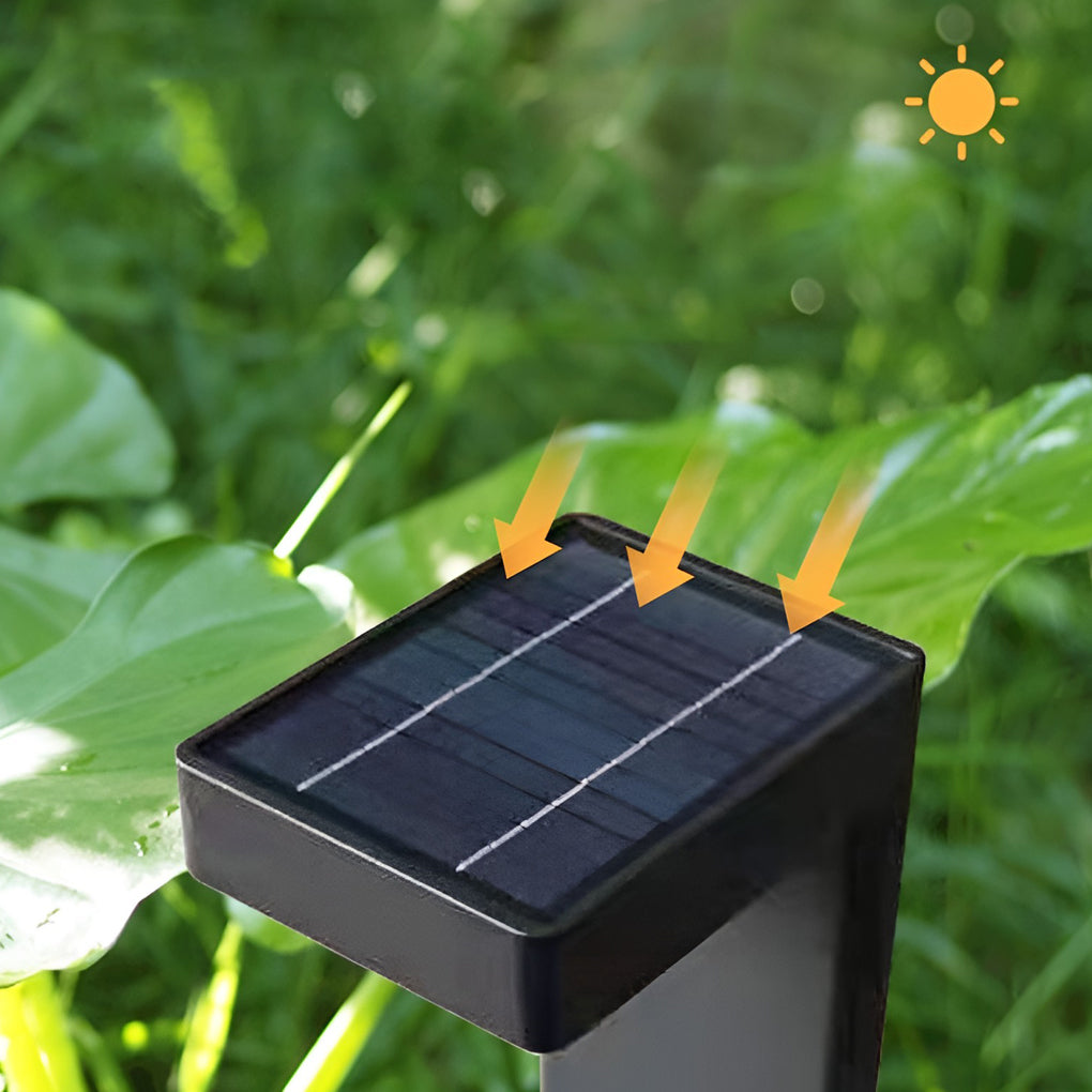 Solar Garden Path Light with Black Metal Frame