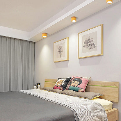 Ceiling Light with Pink Flush Wood Finish