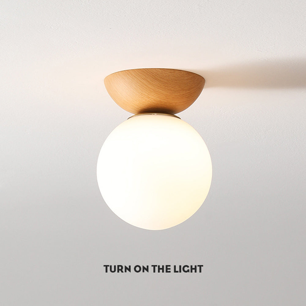 Ceiling Light with Glass Shade for Hallway