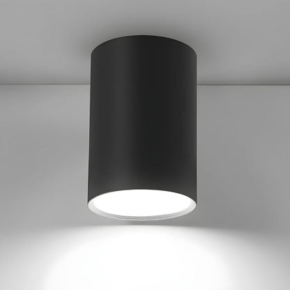 Ceiling Light Modern Aluminum LED Downlight