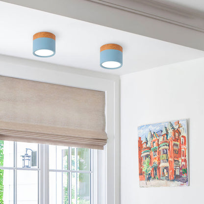 Ceiling Light with Pink Flush Wood Finish