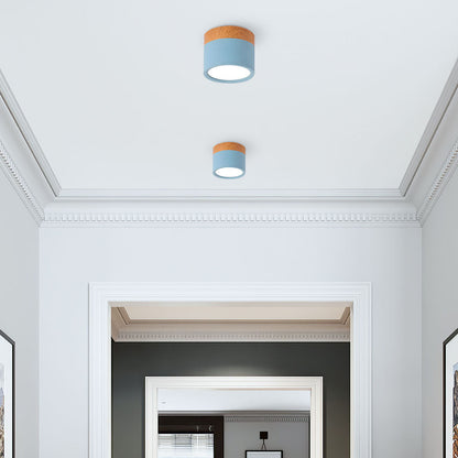 Ceiling Light with Pink Flush Wood Finish